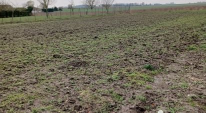 Terrain de 1 559 m² à Graincourt-lès-Havrincourt (62147)