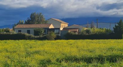 Murs commerciaux de 227 m² à Carpentras (84200)