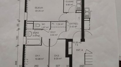 Appartement 3 pièces de 66 m² à Le Pin (77181)