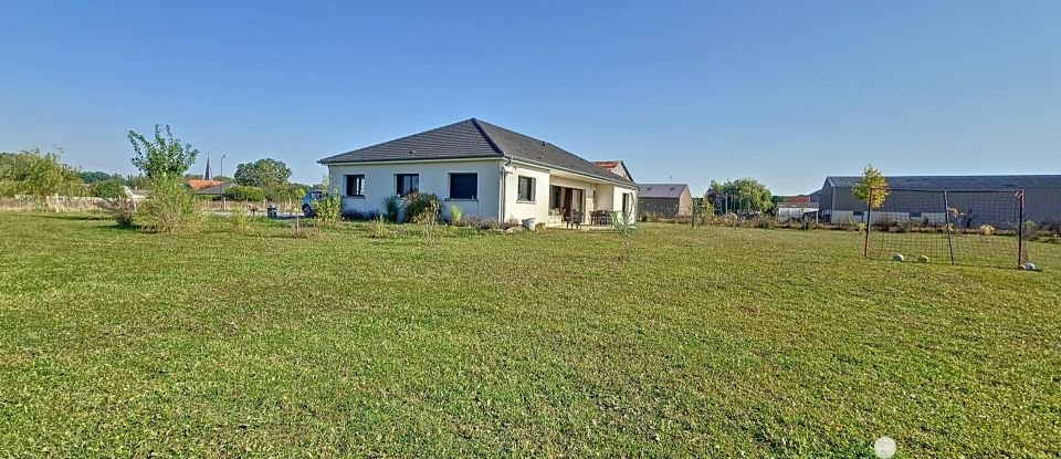 Maison 6 pièces de 150 m² à Asfeld (08190)