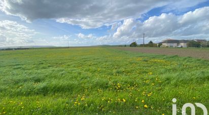 Terrain de 6 980 m² à Val-des-Marais (51130)