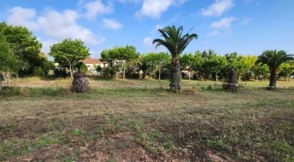 Terrain de 1 196 m² à Fréjus (83600)