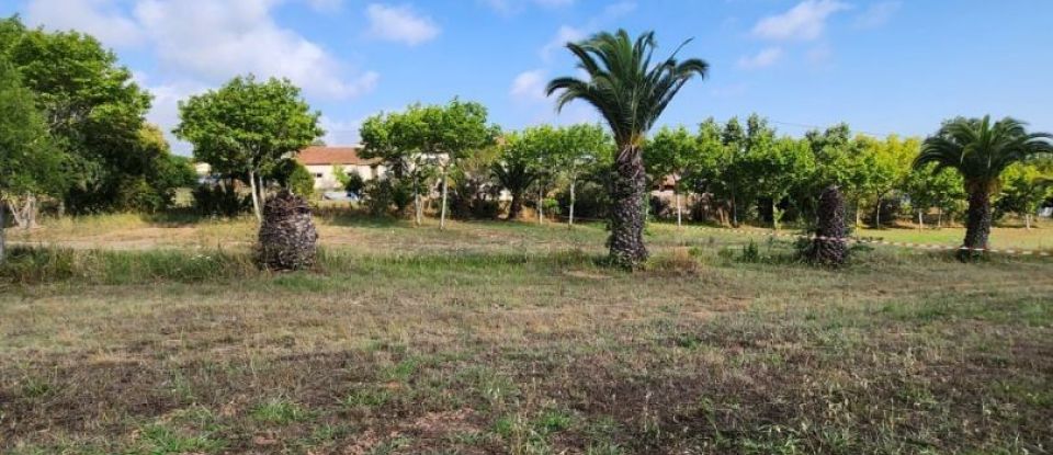 Terrain de 1 196 m² à Fréjus (83600)