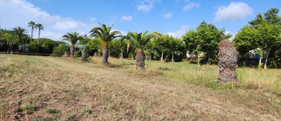 Terrain de 1 196 m² à Fréjus (83600)