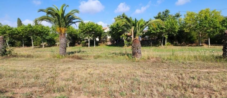 Terrain de 1 196 m² à Fréjus (83600)