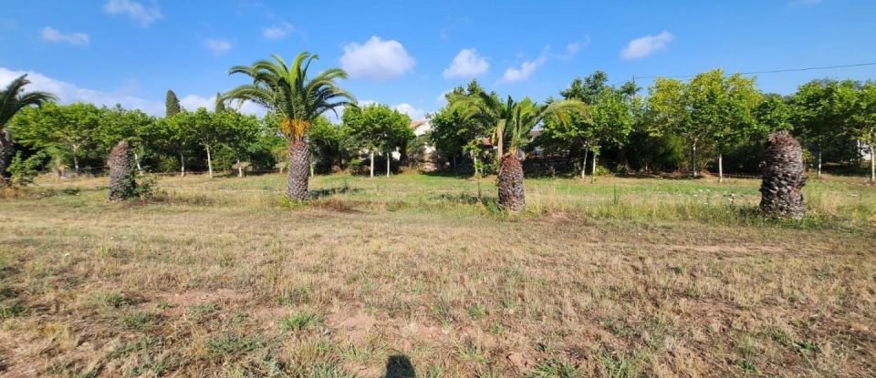 Terrain de 1 196 m² à Fréjus (83600)