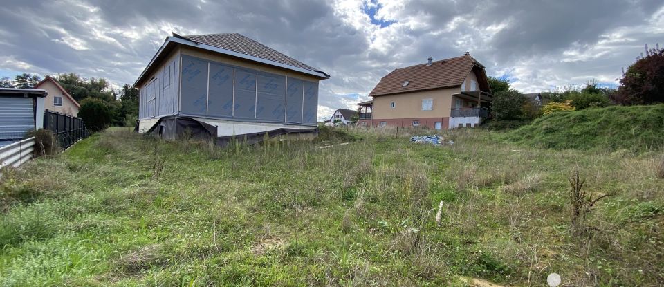 Maison traditionnelle 4 pièces de 136 m² à Hausgauen (68130)