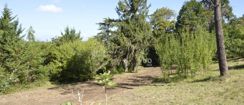 Terrain de 6 877 m² à Ambarès-et-Lagrave (33440)