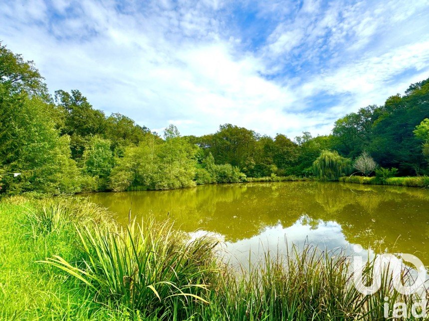 Leisure facility of 11,260 m² in Cosne-Cours-sur-Loire (58200)