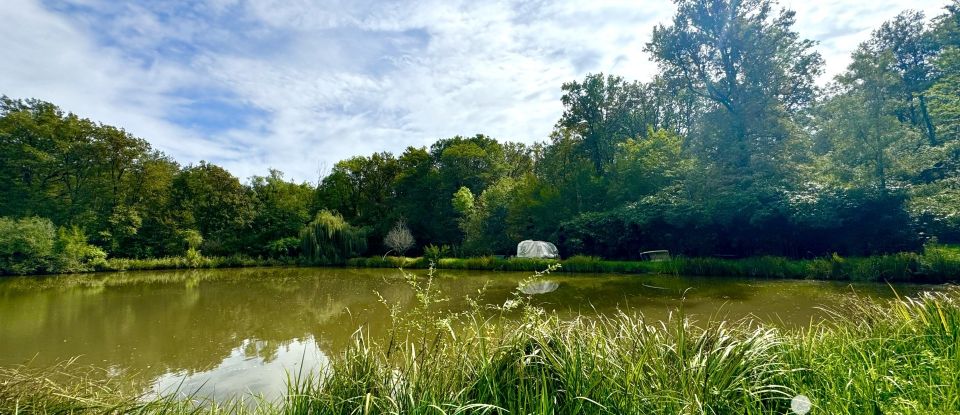 Leisure facility of 11,260 m² in Cosne-Cours-sur-Loire (58200)