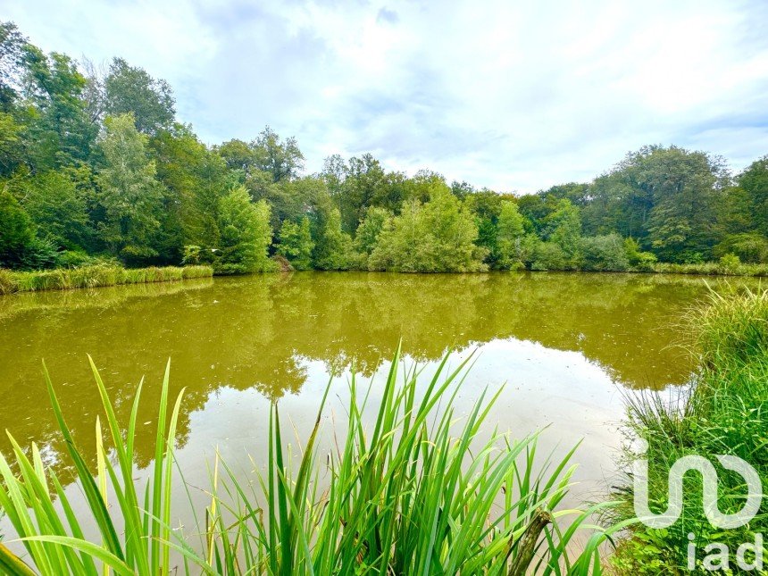 Terrain Loisirs de 11 260 m² à Cosne-Cours-sur-Loire (58200)