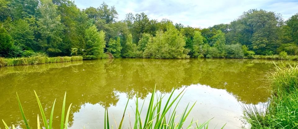 Leisure facility of 11,260 m² in Cosne-Cours-sur-Loire (58200)