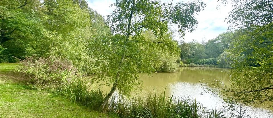 Leisure facility of 11,260 m² in Cosne-Cours-sur-Loire (58200)