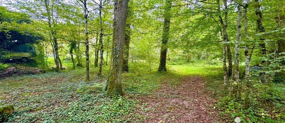 Leisure facility of 11,260 m² in Cosne-Cours-sur-Loire (58200)