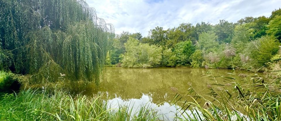 Leisure facility of 11,260 m² in Cosne-Cours-sur-Loire (58200)