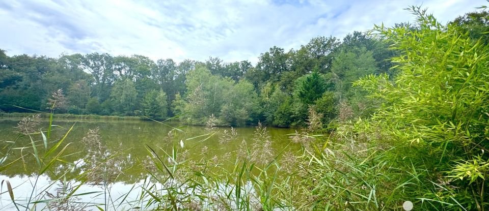 Leisure facility of 11,260 m² in Cosne-Cours-sur-Loire (58200)