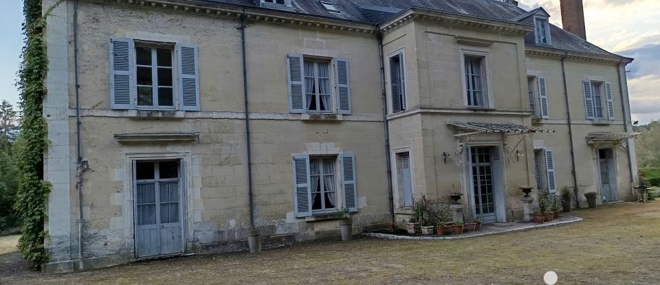 Estate 15 rooms of 558 m² in Ternay (41800)