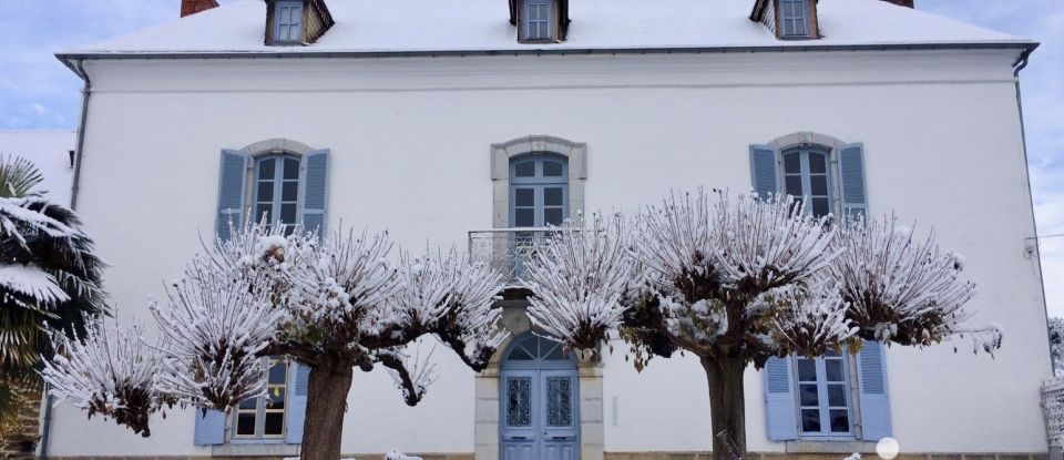 Demeure 9 pièces de 314 m² à Loucrup (65200)