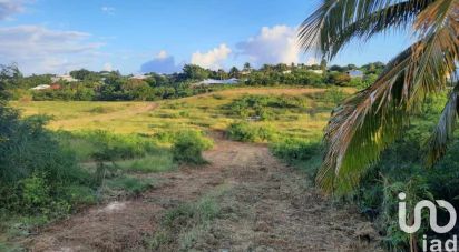 Terrain de 1 900 m² à Saint-François (97118)