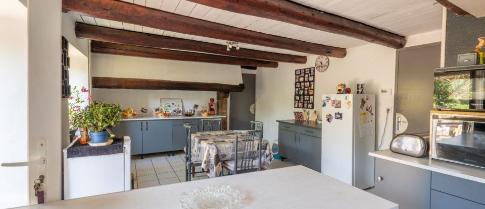 Maison 7 pièces de 248 m² à Usson-en-Forez (42550)