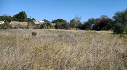 Agricultural land of 3,282 m² in Valros (34290)