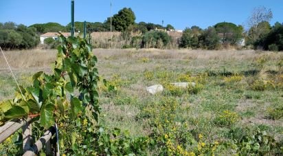 Agricultural land of 3,282 m² in Valros (34290)