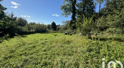 Terrain de 1 000 m² à Marles-sur-Canche (62170)