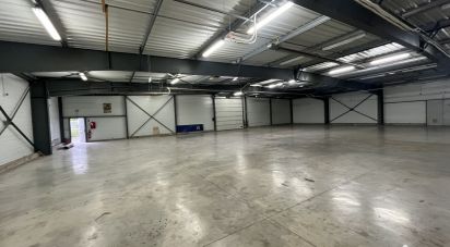 Business premises of 950 m² in La Rochelle (17000)