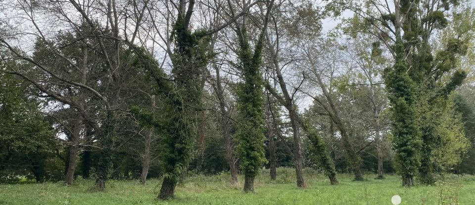 Longère 5 pièces de 140 m² à La Flèche (72200)