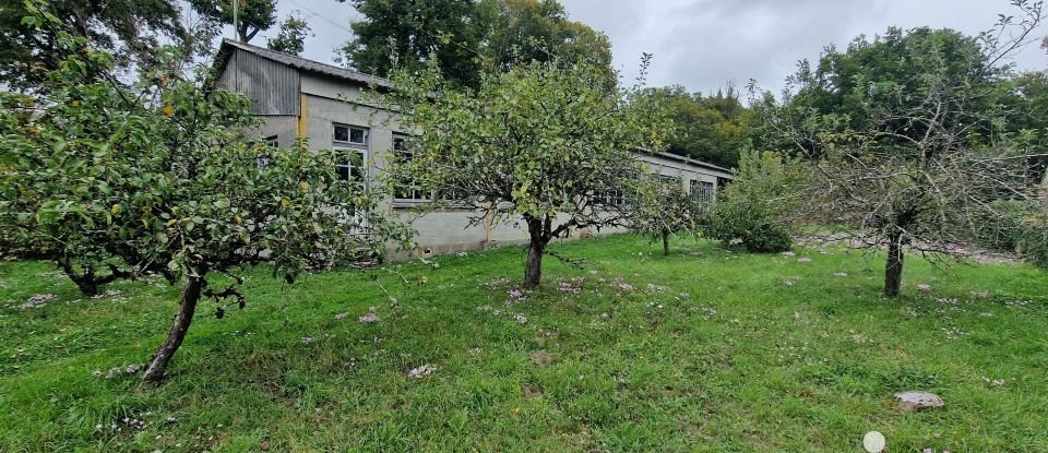 Maison 4 pièces de 400 m² à Châtillon-Coligny (45230)