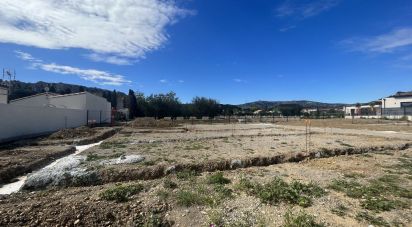 Terrain de 400 m² à Roquefort-des-Corbières (11540)