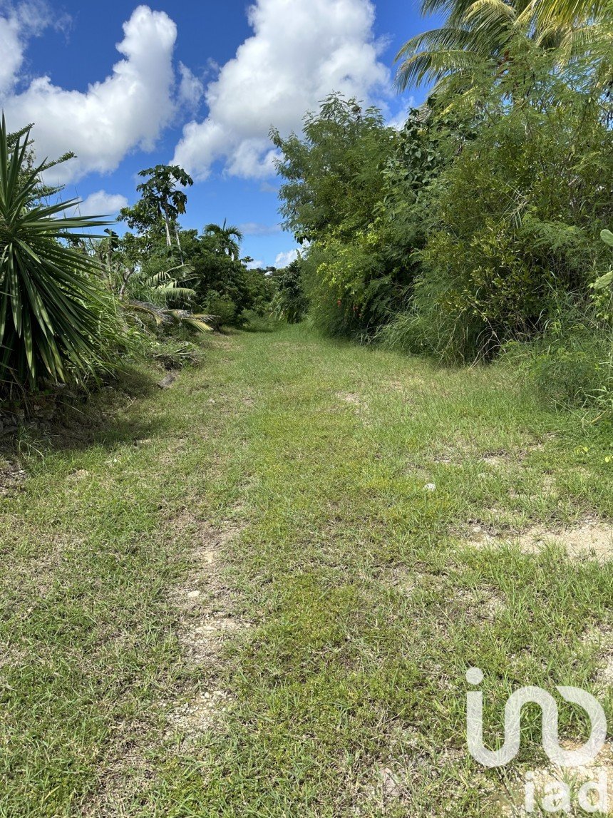 Terrain de 1 000 m² à Saint-François (97118)