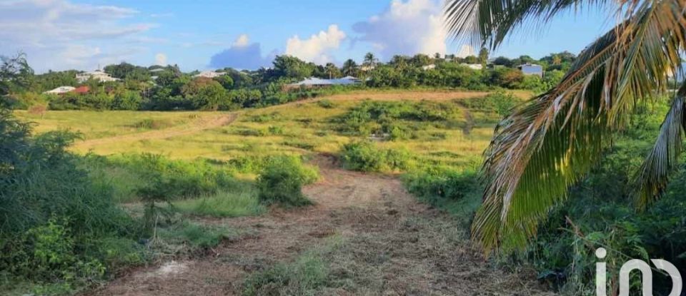 Terrain de 1 000 m² à Saint-François (97118)