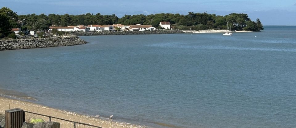 Maison traditionnelle 8 pièces de 175 m² à Rivedoux-Plage (17940)