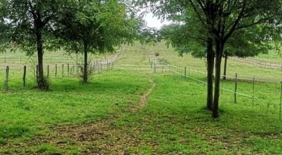 Terrain de 10 500 m² à Saint-Genest-d'Ambière (86140)