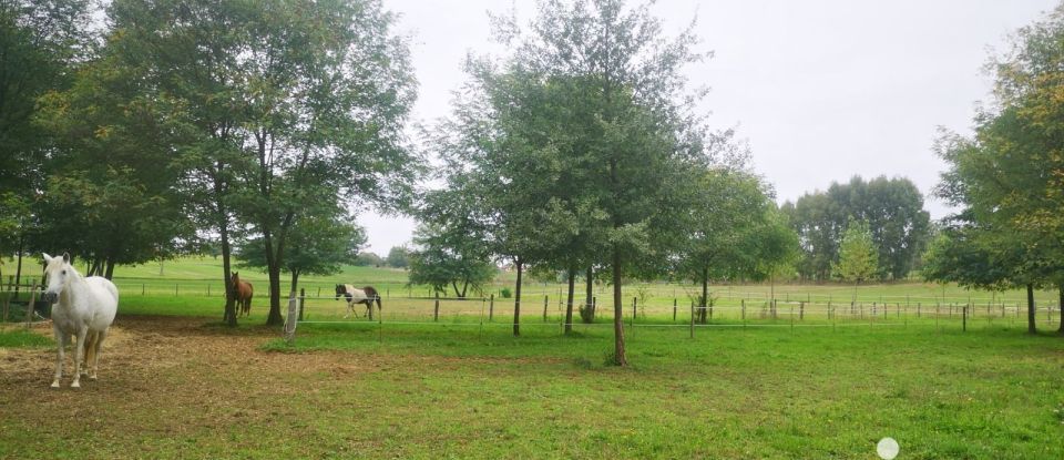 Terrain de 10 500 m² à Saint-Genest-d'Ambière (86140)