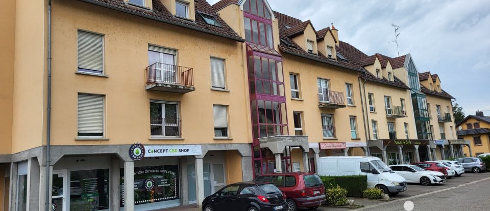 Appartement 3 pièces de 37 m² à Waldighofen (68640)