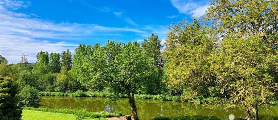 Longère 7 pièces de 220 m² à Gréez-sur-Roc (72320)