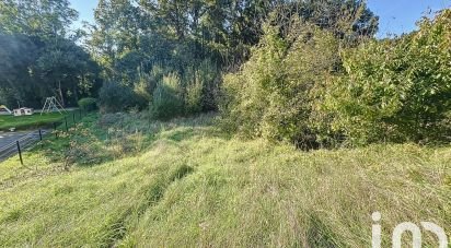 Terrain de 1 000 m² à VEUZAIN-SUR-LOIRE (41150)