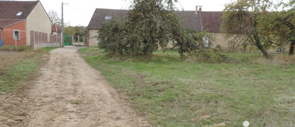 Terrain de 458 m² à La Celle-Saint-Cyr (89116)