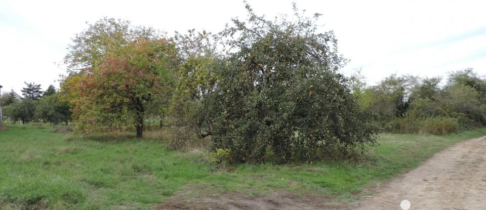 Terrain de 555 m² à La Celle-Saint-Cyr (89116)