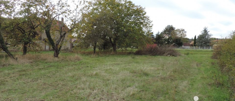 Terrain de 555 m² à La Celle-Saint-Cyr (89116)