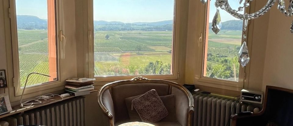 Domaine 7 pièces de 255 m² à Puy-l'Évêque (46700)