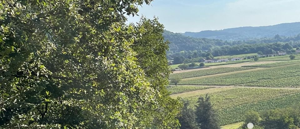 Domaine 7 pièces de 255 m² à Puy-l'Évêque (46700)