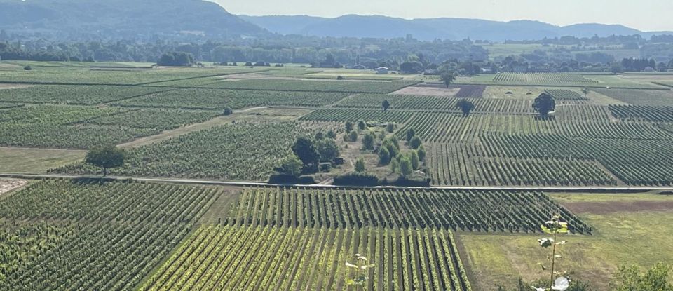 Domaine 7 pièces de 255 m² à Puy-l'Évêque (46700)