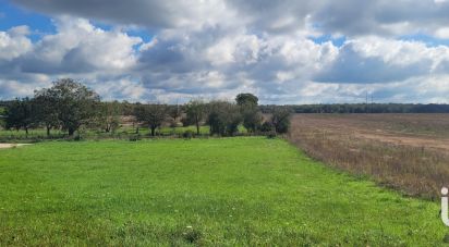 Land of 1,917 m² in La Groutte (18200)