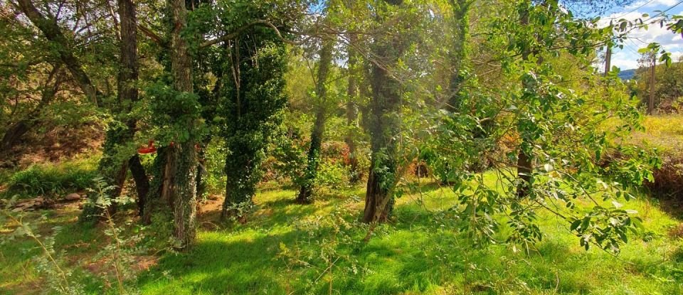 Maison de campagne 3 pièces de 60 m² à La Tour-sur-Orb (34260)