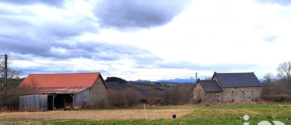 Maison de campagne 7 pièces de 184 m² à Charensat (63640)