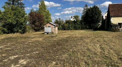 Terrain de 1 100 m² à Coulanges-la-Vineuse (89580)