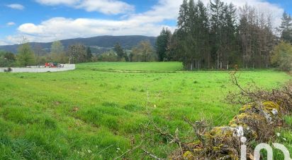 Terrain de 2 430 m² à La Chaise-Dieu (43160)